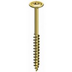 Coach Screws